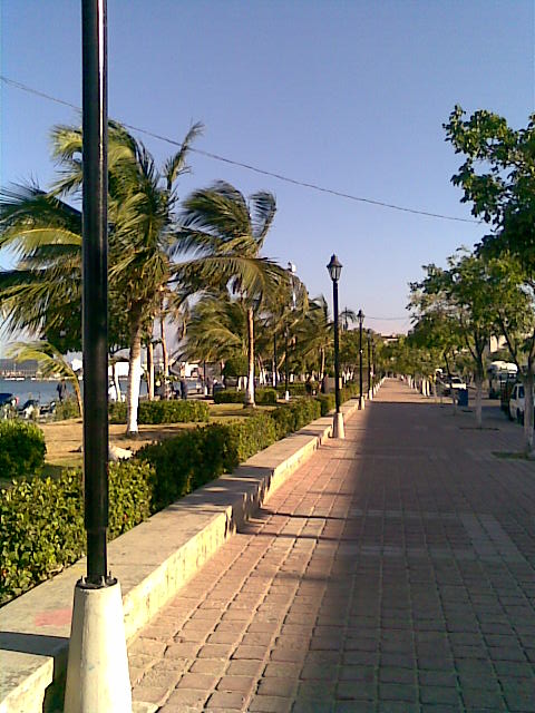 Caminos.Camellon
