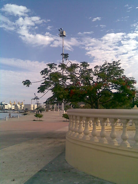Camellon